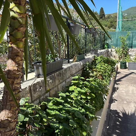 Luka Holiday home *